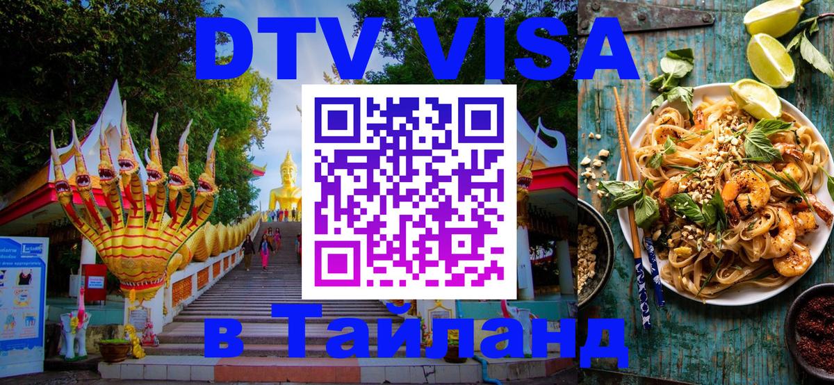 Оформление DTV визы под ключ: стоимость и тарифы, только загранпаспорт - Энгельс 